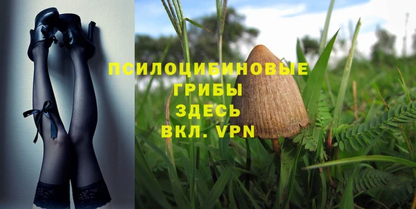 COCAINE Белокуриха