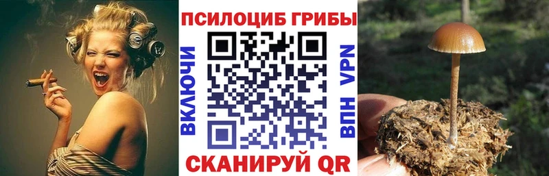 Галлюциногенные грибы Psilocybine cubensis  Шагонар 