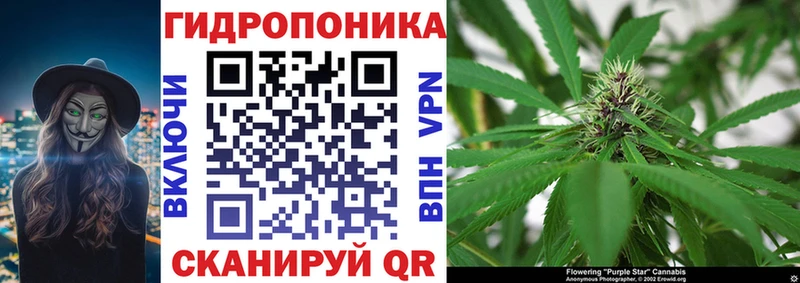 ОМГ ОМГ ССЫЛКА  Шагонар  Бошки Шишки Bruce Banner  где купить наркотик 